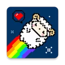 星咩视频壁纸App