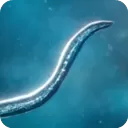 孢子模拟器最新版(Bionix)