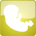 现实人生模拟器官方版