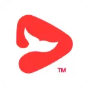 锦书在线苹果版