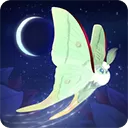 彩翼之星夜官方版