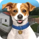 动物收容所模拟器手游最新版