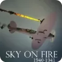 世界大战飞行模拟器中文版