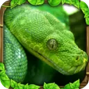 蟒蛇模拟器手机版