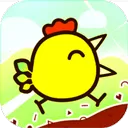 超级飞鸟官方版