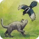 米洛和喜鹊手游