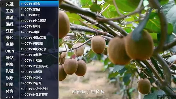 爱直播电视客户端