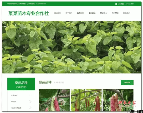 腾和苗木网站管理系统 v1.15