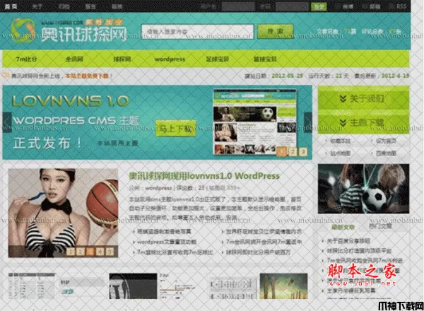 php绿色清爽WordPress主题lovnvns v1.0
