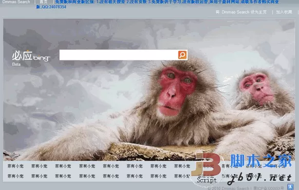 必应bing网页搜索小偷php程序 v1.0