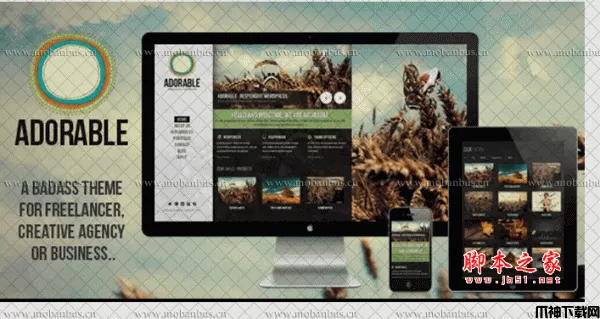 php简洁干净的WordPress主题Adorable v1.0