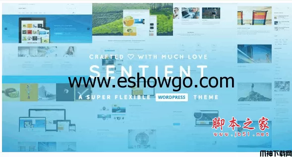 英文企业多功能wordpress主题 v3.9