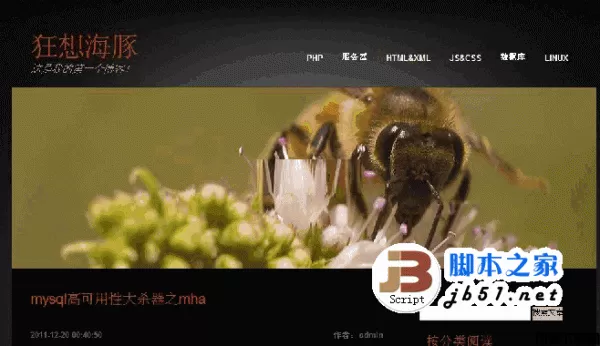 狂想开源php海豚博客 v0.1 beta