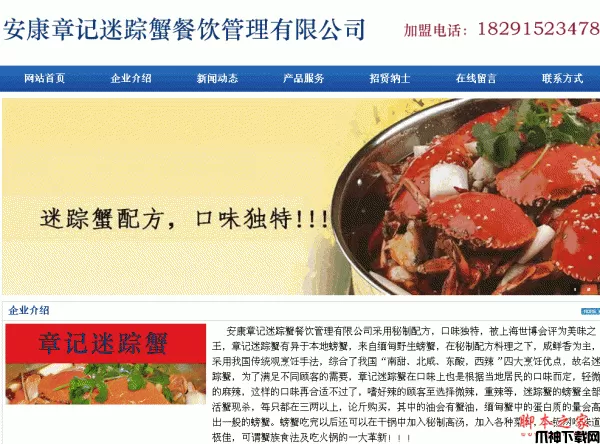 飞马网络企业网站系统 v4.0