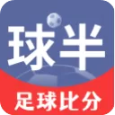球半app官方版