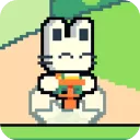 兔兔大冒险手游最新版(pogo runner)