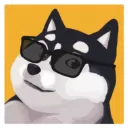 养只二哈不容易官方版