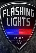 消防模拟(Flashing Lights)