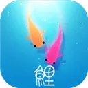 鲤游戏手机版
