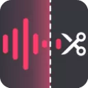 金舟音频大师官方版