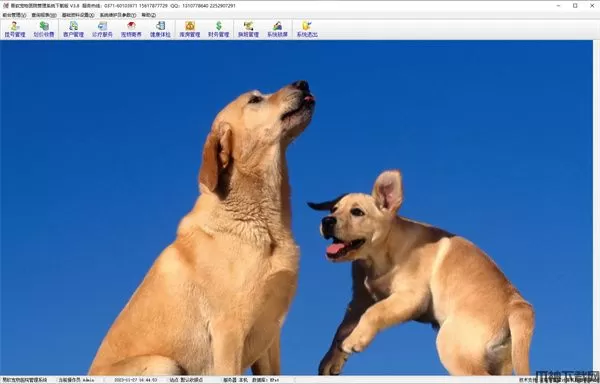 易软宠物医院管理系统下载