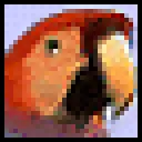 英语八哥英语课本学习软件