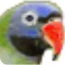 明天五笔高手速成官方版