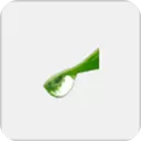 水晶学籍管理电脑版