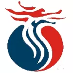 金长江股票期权交易汇点版官方版