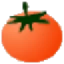 visual assist X官方版