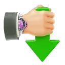 Internet Download Accelerator Pro(网络下载加速器)