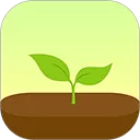 Forest App