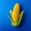 我的农场官方正版